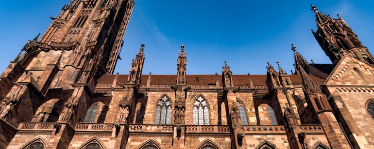 Das Freiburger Münster